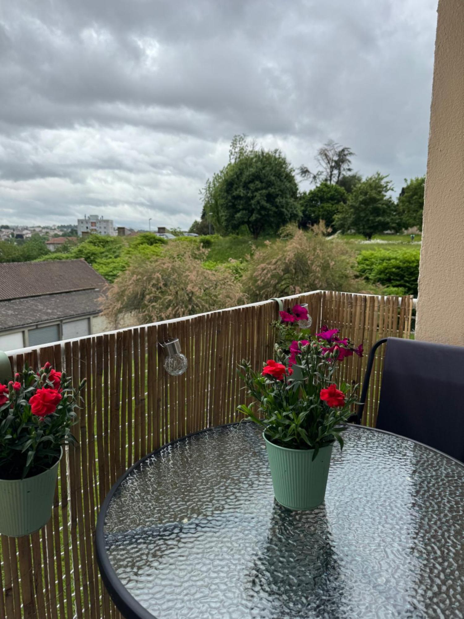 Appartement Chaleureux Et Spacieux T3 Limoges Buitenkant foto