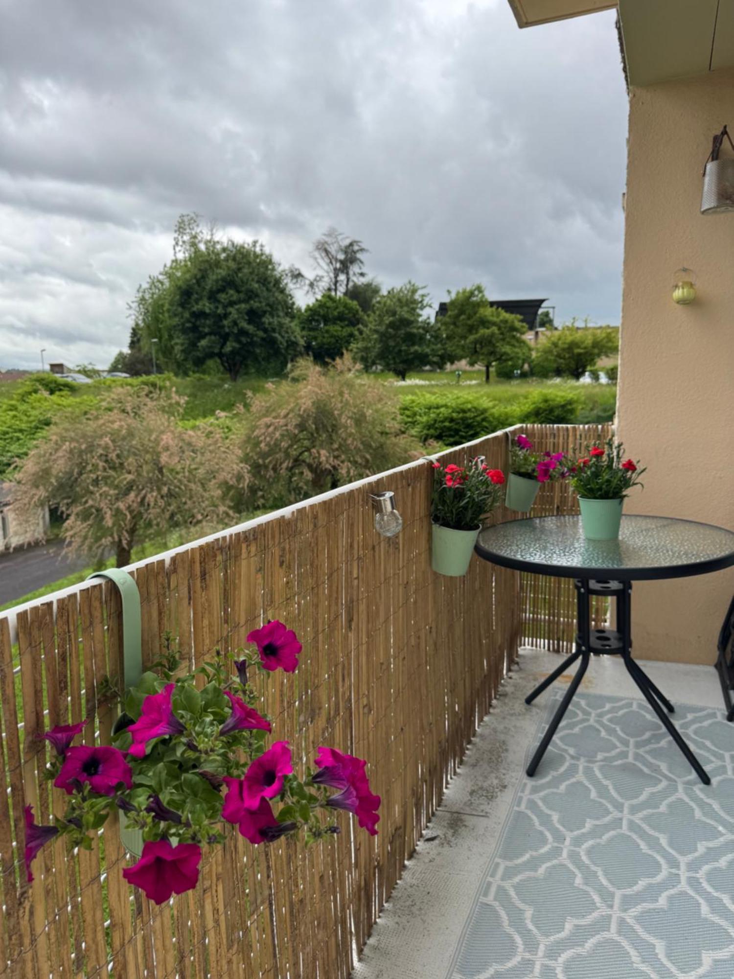 Appartement Chaleureux Et Spacieux T3 Limoges Buitenkant foto